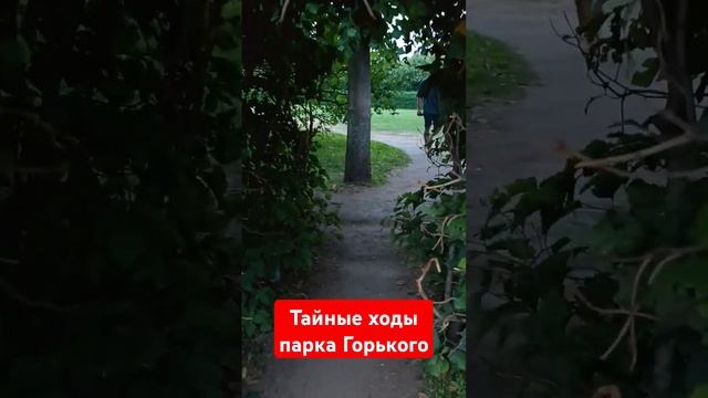 Тайные тропы когда везде ремонт в ПАРКЕ ГОРЬКОГО смотреть онлайн