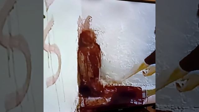 It's JUST Art...The Amazing Marina Abramovich Spirit Cooking😑