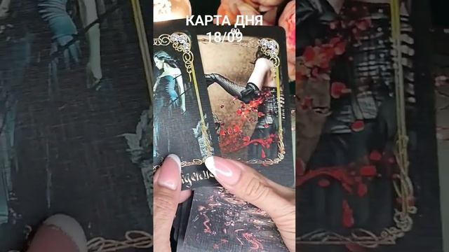 КАРТА ДНЯ 18/09 смотреть онлайн