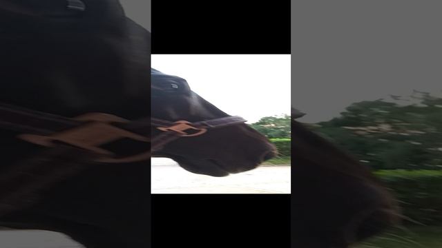 VID_20200616_221148 смотреть онлайн