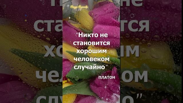 Как стать хорошим человеком | Сказки Суламифь смотреть онлайн