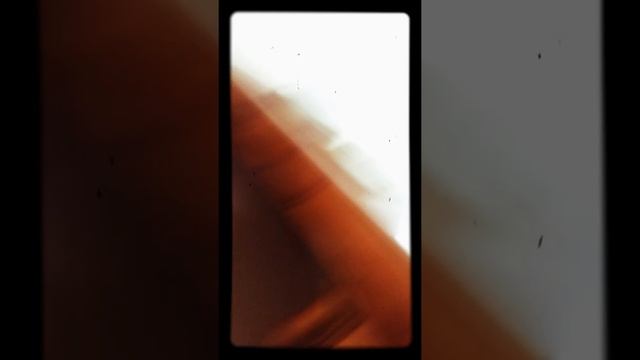 Dylan and Golden Wolfies video hello neighbor смотреть онлайн