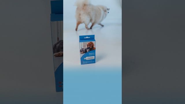 Кардиофлешка PetNet ECG для ветеринарных клиник смотреть онлайн