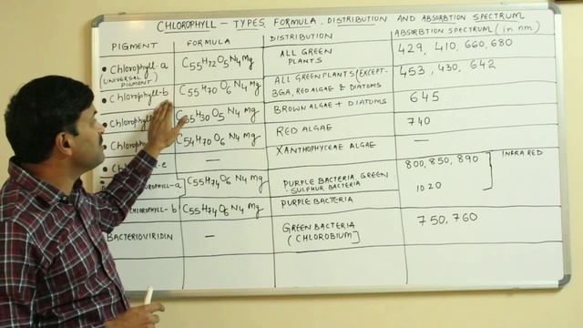 Chlorophyll - Types & Formula | Photosynthesis (Plant Physiology) Hindi Medium смотреть онлайн
