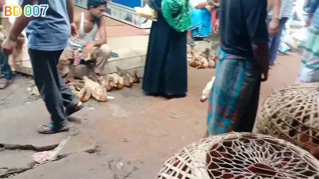Part:2,Bangladesh hat bazar chickens and duck market in savar смотреть онлайн