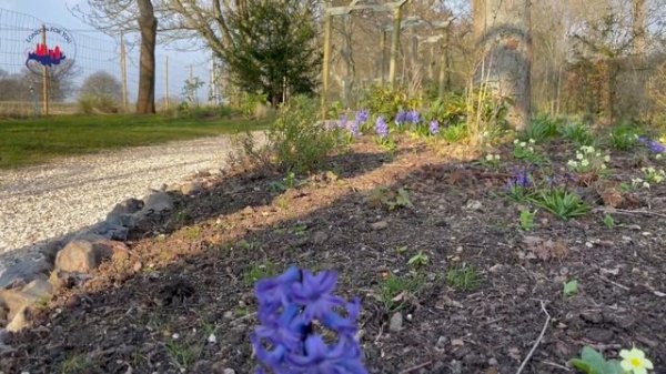 Английские сады West Green House Garden