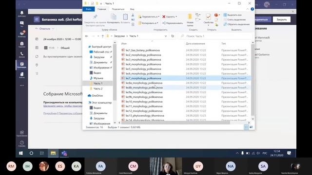 Ботаника Лабораторный урок 1 24 11 2020 смотреть онлайн
