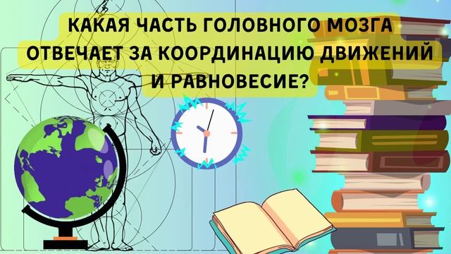 Викторина 9 Прокачай свой мозг! Тест на эрудицию с ответами. Тема викторины анатомия человека смотреть онлайн