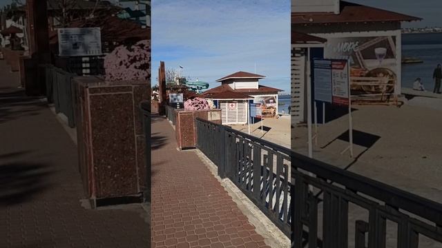 Феодосия, осенняя набережная в цветах смотреть онлайн