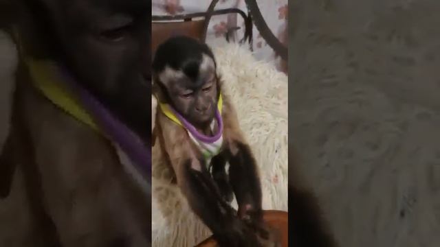 сладкие пальчики смотреть онлайн