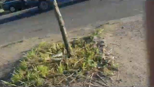 20140513 184632 Сегмент 1 смотреть онлайн