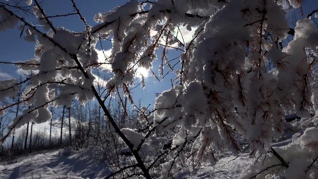 Siberia. Transbaikalia. UHD TV. Winter day. Relax. смотреть онлайн