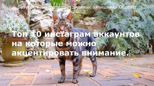Безупречный instagram дневник айтишника GConstr смотреть онлайн