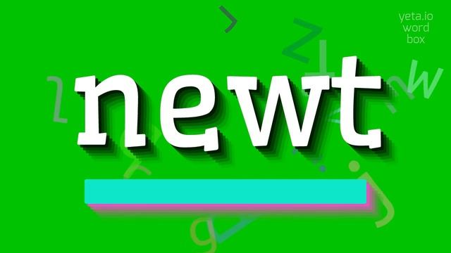 NEWT - HOW TO SAY NEWT? #newt смотреть онлайн