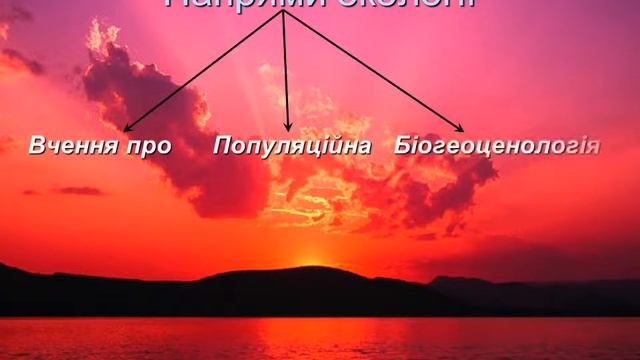Предмет та завдання екології. Методи екологічних досліджень смотреть онлайн