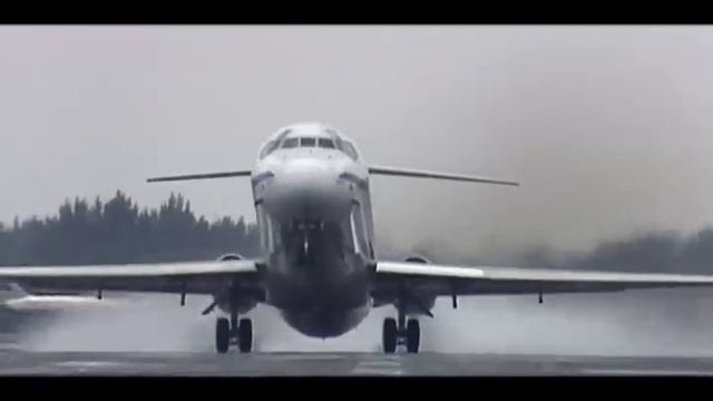 "Net Worth" TV Segment Starring Terry Bradshaw | TollFreeForwarding.com смотреть онлайн