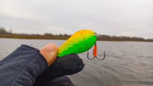 На ВСЁ НОЛЬ, а ЗНАЧИТ ОНА НАЛОВИТ РЫБЫ! Рыбалка на ЖЕЛЕЗНЫЙ ДЖИГ на спиннинг в 2024