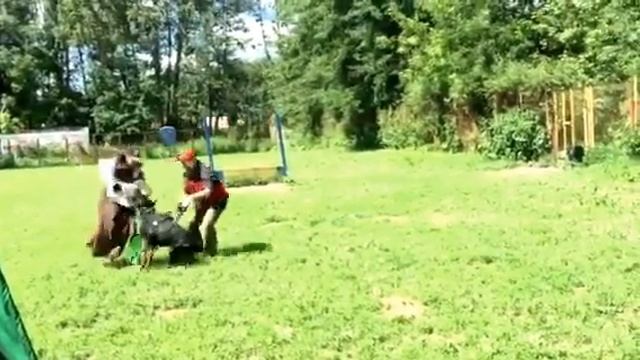 FILIMAMONT EXTRA-TERRESTRIAL dobermann 18 m смотреть онлайн