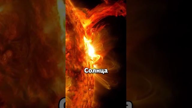 Этот аппарат прошёл сквозь Солнце смотреть онлайн