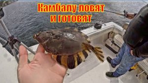 Камбалу ловят и готовят