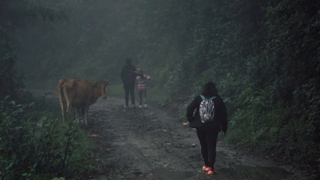 Monsoon Mountain | Fujifim XT3 | Sigma 56mm 1.4 | Test Shots | Relaxing | Color Grading | Cinematic смотреть онлайн