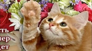 ДОБРЫЙ ВЕЧЕР  КАРМАНОВ ФЕДОР ПОЛОТНО АНАТОЛИЙ