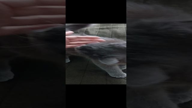 Осваивает электропростынь