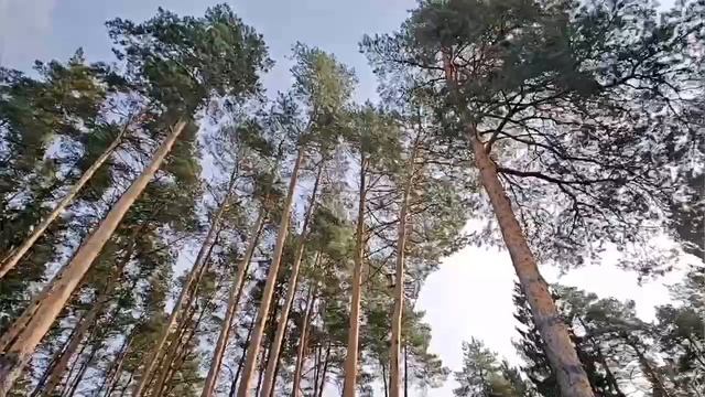Эксклюзивное предложение! смотреть онлайн