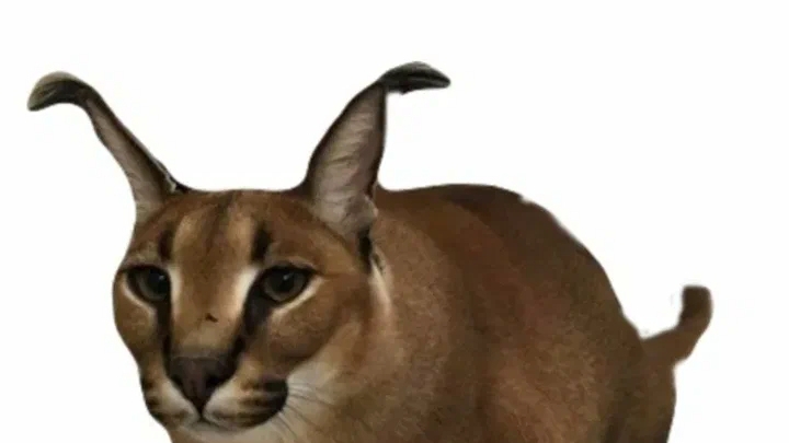 Ищу шлëпу😜🤎 смотреть онлайн