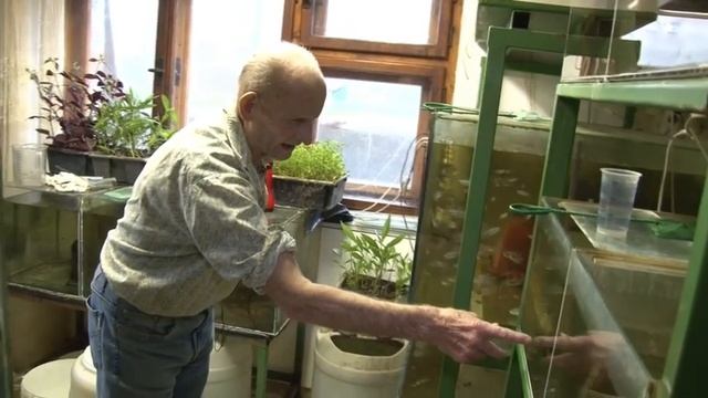Nestor rychnovských akvaristů Josef Ešpandr (82 let) смотреть онлайн