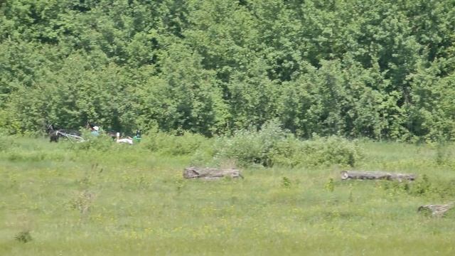 02.06.2019 г. 2-й заезд кв. 4-х лет смотреть онлайн