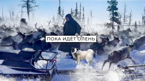 "Пока идет олень": история про оленеводство и вечную дружбу в Арктике | Документальный фильм
