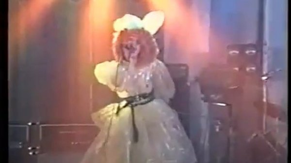 Колибри американская жена