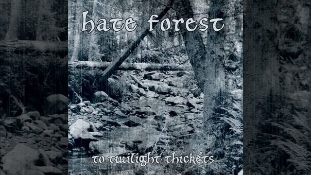 To the Thickets and Swamps смотреть онлайн