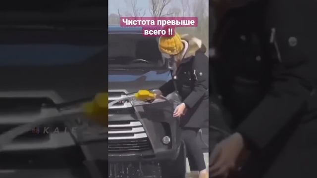Чистота превыше всего !! смотреть онлайн