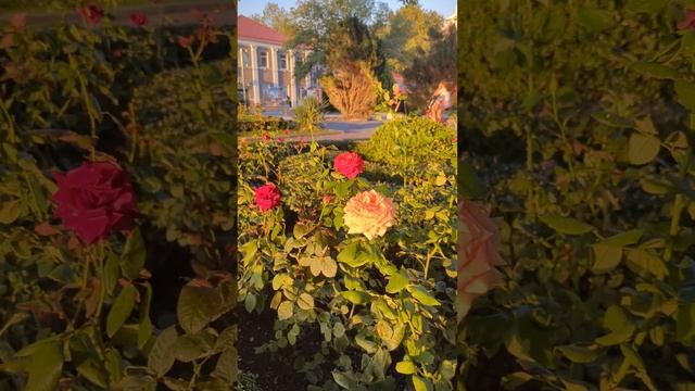 Время строить планы смотреть онлайн