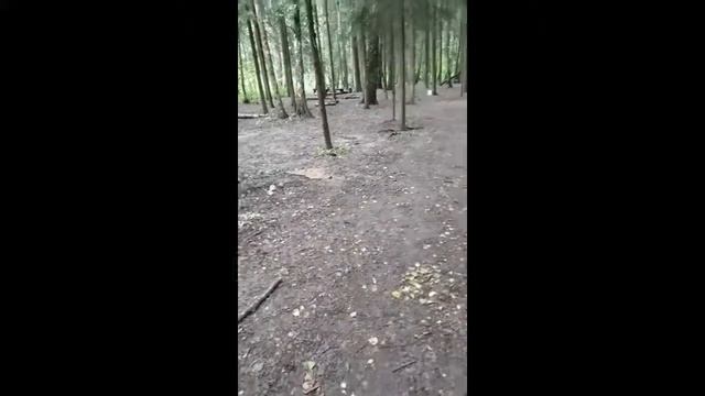 Стрельба из моего пистолета g21 смотреть онлайн
