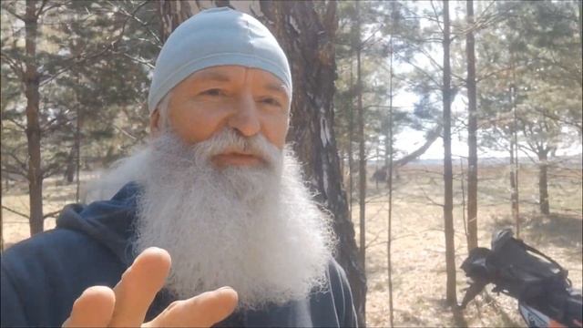 Берёзовый сок - Напиток БОГОВ! Как собирать и употреблять смотреть онлайн