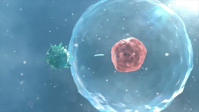 La Beta-talassemia смотреть онлайн