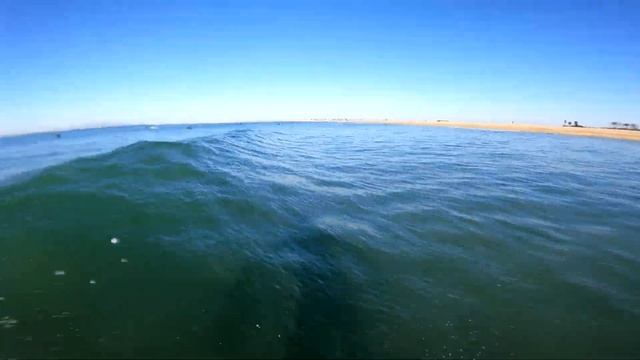 First POV Firewire Baked Potato5'5" at Bolsa смотреть онлайн