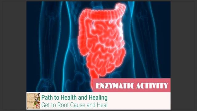 Fix Your Gut and Save Your Life смотреть онлайн