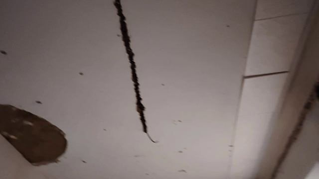 Ейск ! Запустили старый котёл, прогреваем дом, заказали входную дверь, занялись электрикой ! смотреть онлайн