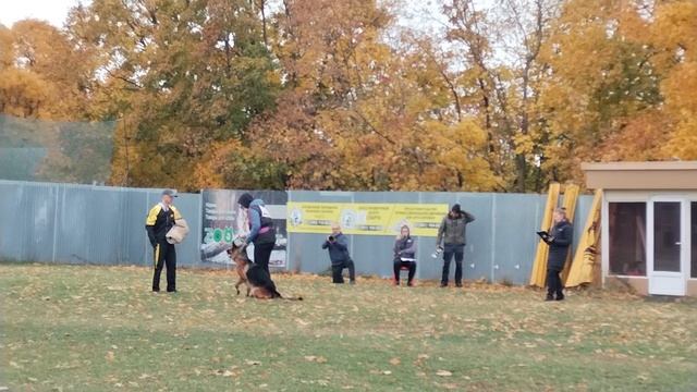 3 Отл. E-WOLT v. Mair Hof +++ №11 / КЧК ВОРОНЕЖ 27 октября`24 Е.Близнецова