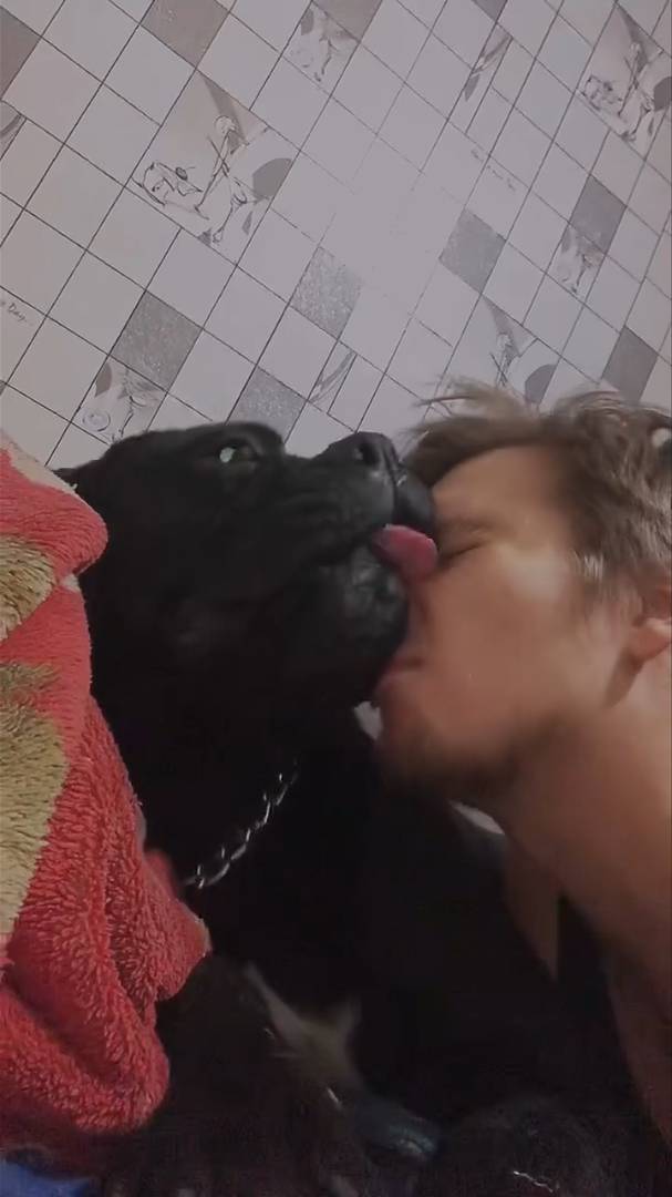 СПАТЬ С ДОМАШНИМИ ЖИВОТНЫМИ НА ОДНОЙ ПОСТЕЛИ ОПАСНО!? | Кусь:3 | Кане Корсо Мистер Элефант