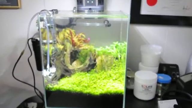 ADA Cube Garden with AquaRay mini tile смотреть онлайн