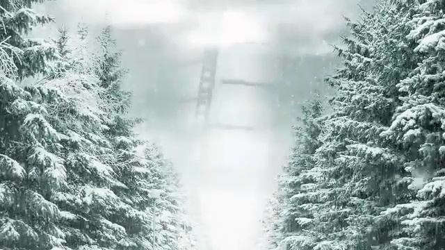 Winter смотреть онлайн