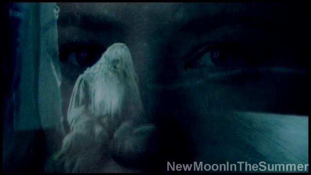 Galadriel X Gandalf ● Our Walk Of Life