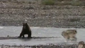 Луна  (ЛЮБЭ)