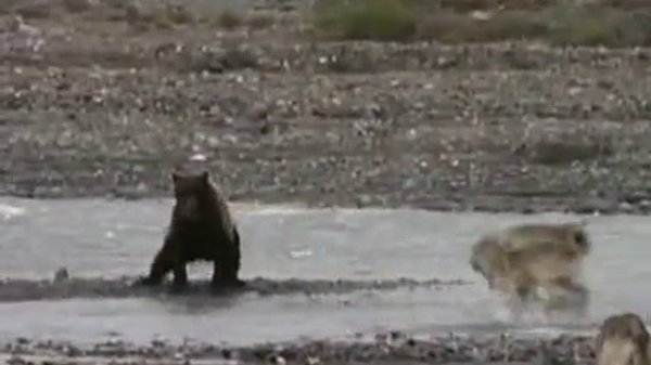 Луна  (ЛЮБЭ)