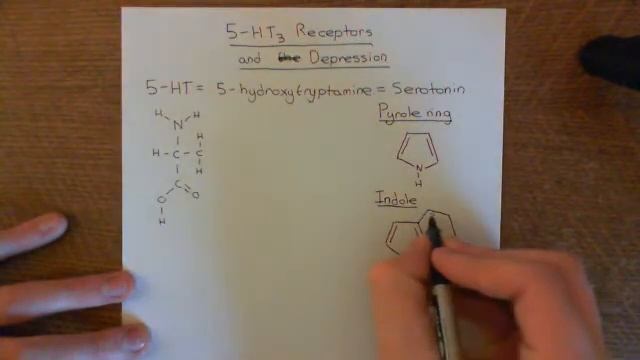The 5-HT3 Receptors and Depression Part 1 смотреть онлайн